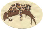 leopardo-3.jpg (61101 byte)